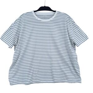 Women's Short Sleeve Crewneck Stripe Tee - White with Blue Stripes